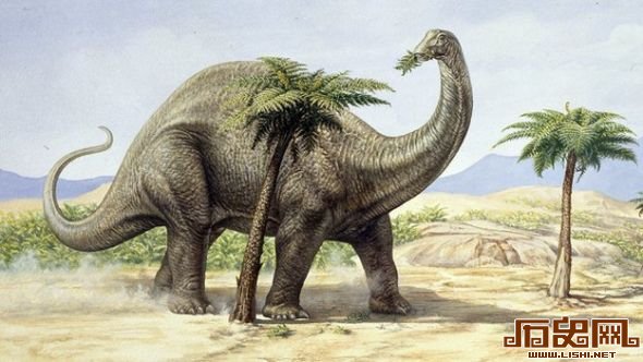 [图文]恐龙胃胀气排放甲烷气体曾造成地球气候