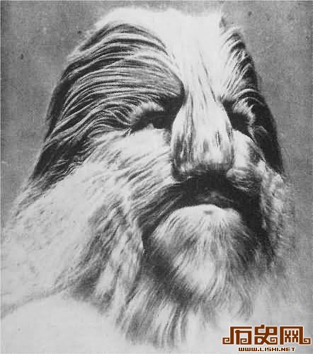 盘点人类历史上九大怪胎