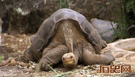 [多图]记录世界历史那些“最后”的珍贵照片