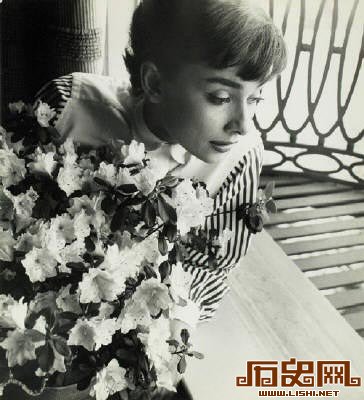 大师镜头下“世界上最美丽的女人”奥黛丽·赫本