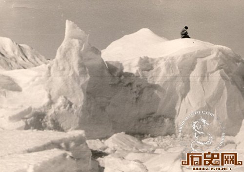 1955年苏联第一次南极洲考察老照片