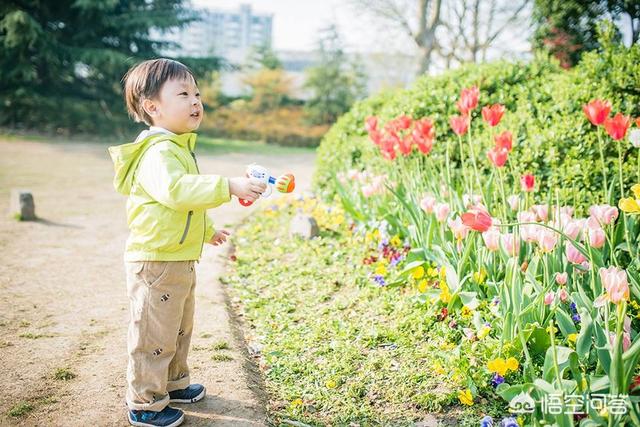 清明风俗的来历（清明的风俗和由来）