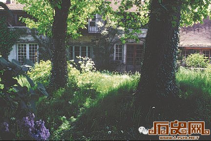 杜拉斯诞辰百年影像记：爱 谎言与写作