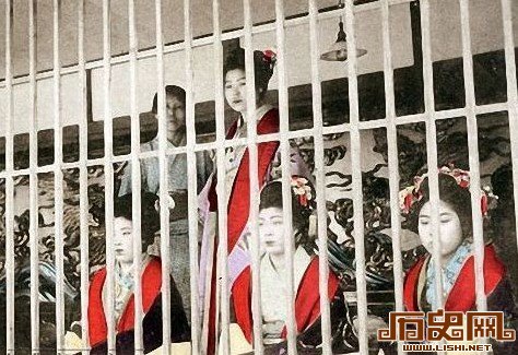 1890年日本妓院罕见老照片