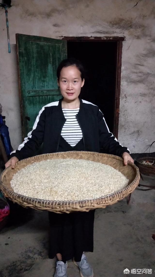 新年各地都有什么特色美食（最具特色的美食是什么）