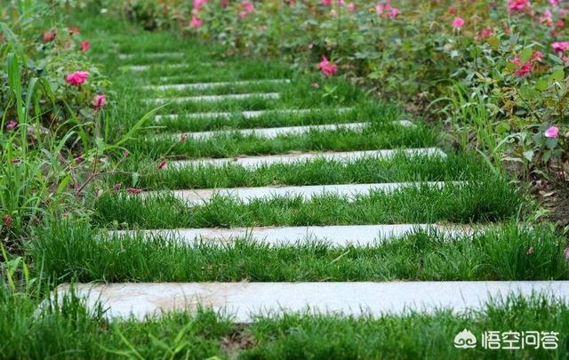 为什么每年清明节必下雨（为什么每年清明节要下雨）