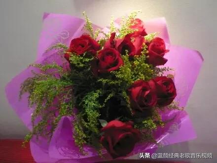 西方的情人节送玫瑰?，我国的“七夕”情人节送什么花好呢？