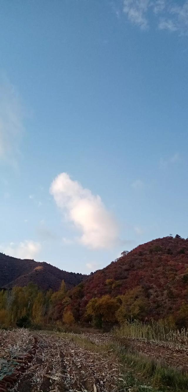 元宵节主要有什么传统民俗活动（元宵节主要哪些传统民俗活动?）