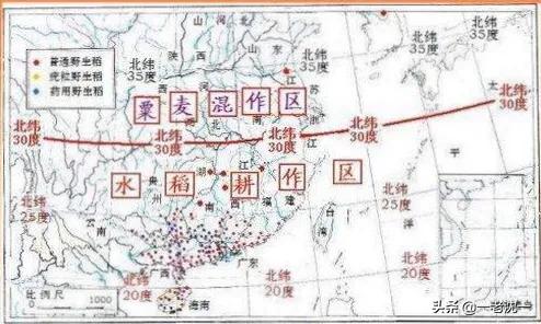 中国古文化有两个重要的区系（中国古代文明起源的四大区域）