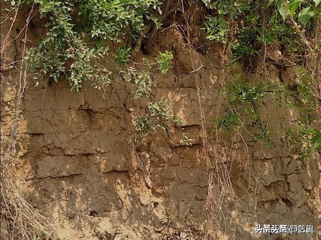 中国古文化有两个重要的区系（中国古代文明起源的四大区域）