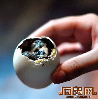 盘点全球最变态的十种食物