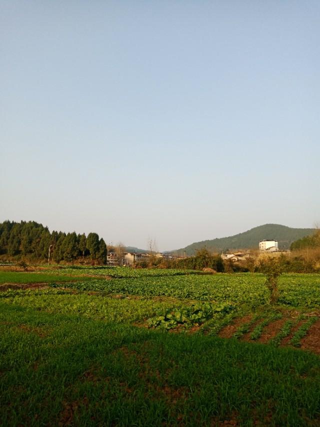 农村存在哪些不好的风俗（如何看待农村旧风俗）