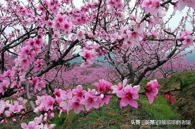 清明节的节日时间是什么风俗是什么（清明节的节日时间、风俗是什么）