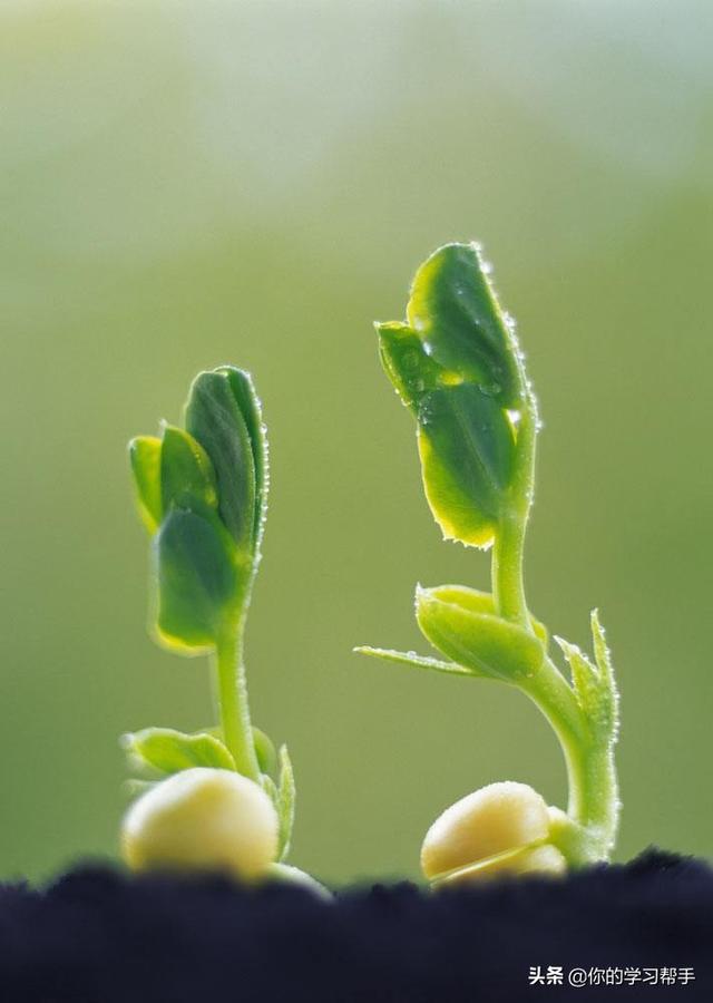 清明节的节日时间是什么风俗是什么（清明节的节日时间、风俗是什么）