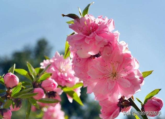 清明节的节日时间是什么风俗是什么（清明节的节日时间、风俗是什么）