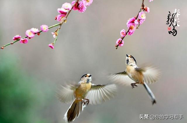 清明节的节日时间是什么风俗是什么（清明节的节日时间、风俗是什么）