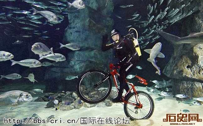 盘点全球各地最“疯狂”的吉尼斯纪录