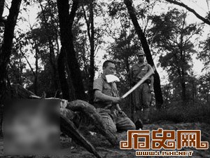 盘点古今中外恐怖死刑大观