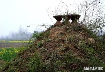 清明节有什么风俗（清明节这天有什么风俗）