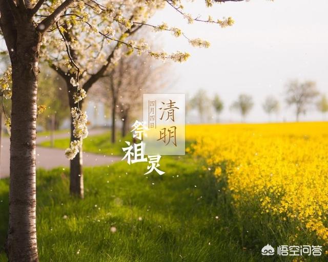 清明节除了扫墓还有什么?（清明节扫墓的风俗）