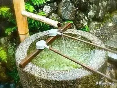 端午节的传统知识（关于端午节的历史小知识）