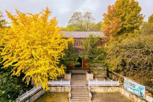 一座岳麓山，半部湖南史