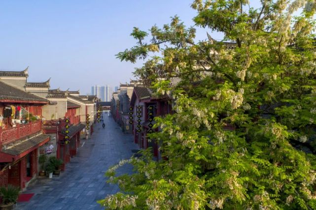 这座中国最硬的城市，最近火了