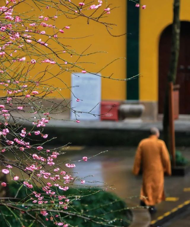 这座城，藏着中国人全部的浪漫