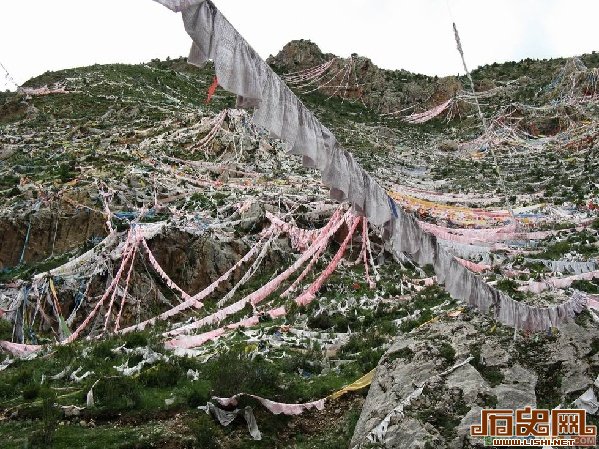 盘点上世纪中国历史上的十大地震