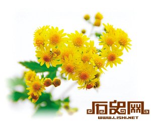雍阳史话：城关古城的文化内涵