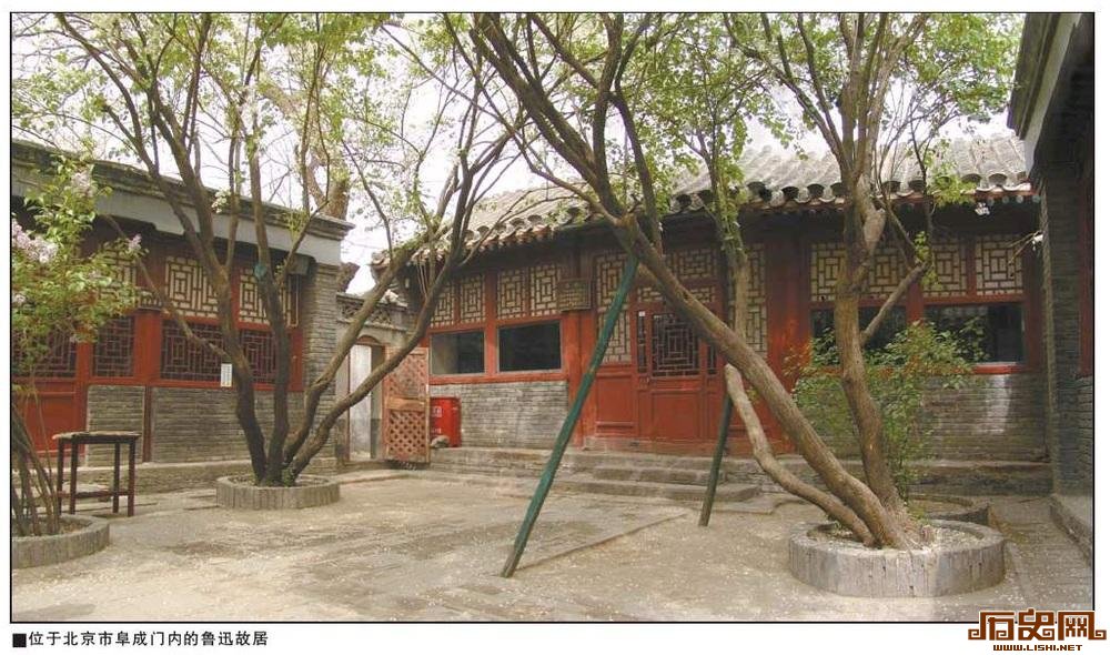 揭秘鲁迅为中国社会进步发展开出的七味药方