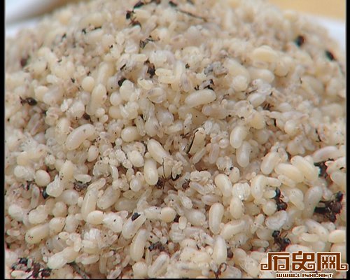 古代广东人的奇特小吃：蚁卵酱与象鼻炙