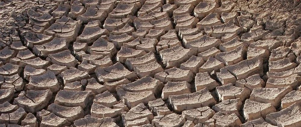 惨绝人寰的丁戊奇荒
