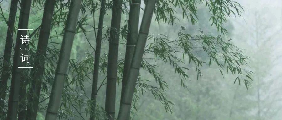 王维独居时写下一首诗，仅20字，却治愈世人1200多年！