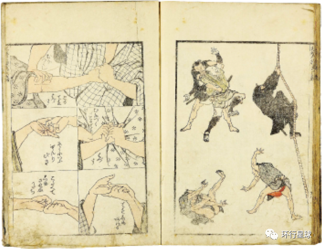 日本大学真的有忍者专业么？