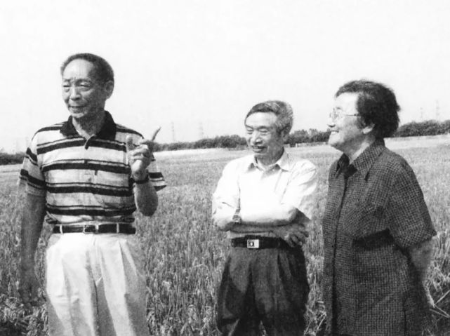 中国的夏天，哪里最甜？