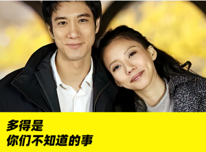 王力宏事件中的硬核梗与“力宏词典”！