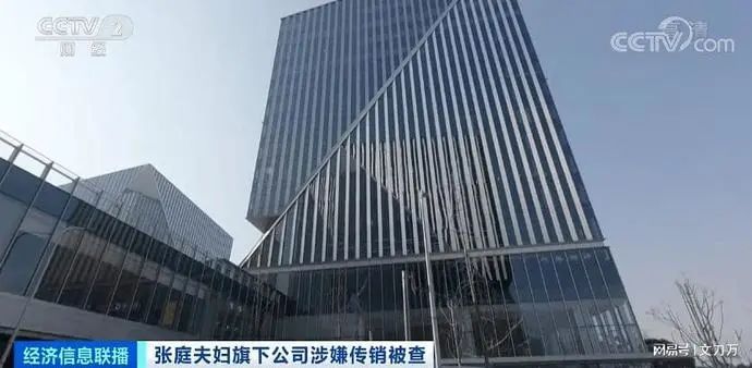 被怒斥“传销毒瘤”！张庭夫妇“黑金帝国”大起底