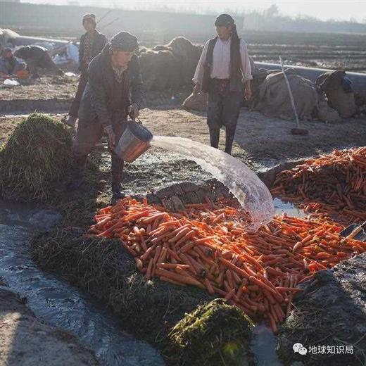 阿富汗，饿肚子问题到了紧要关头｜地球知识局