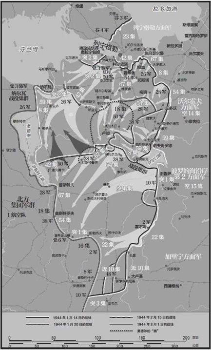 1944年1月，列宁格勒南部，红军将再度发起规模庞大的冬季攻势