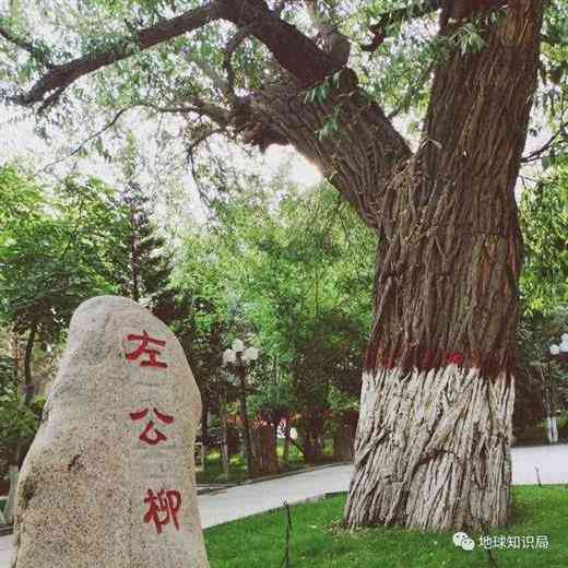 哈萨克斯坦，藏着一个定时炸弹｜地球知识局