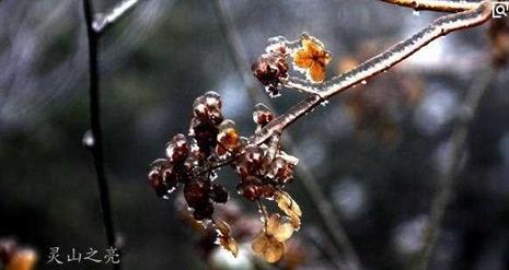 江西上饶：白雪皑皑，童话世界，灵山瑞雪迎新年（图）