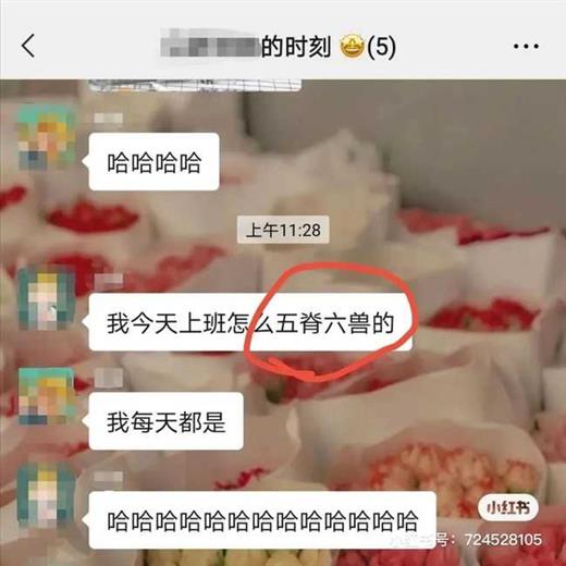 东北人嘴里到底能蹦出多少奇怪的四字词语?