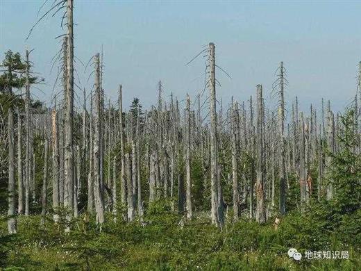 超级火山喷发，会引发无夏之年？｜地球知识局