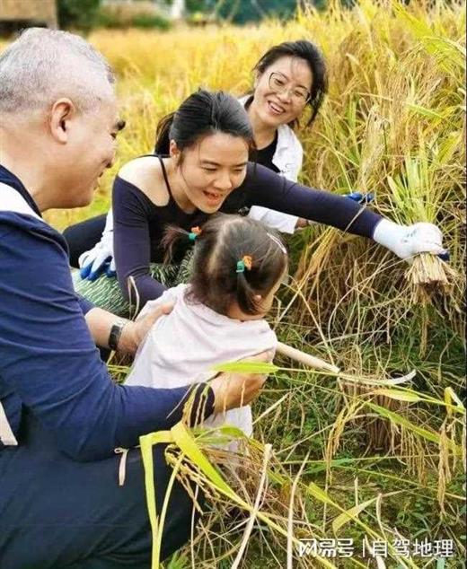 今冬旅行不用舍近求远！离广州仅118公里，藏着桃源般的田园秘境