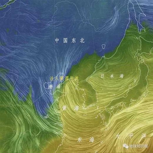 东北特大暴雪的原因，找到了！｜地球知识局