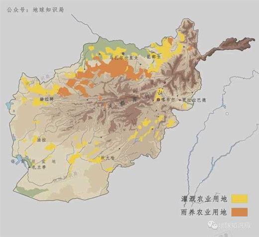 阿富汗，饿肚子问题到了紧要关头｜地球知识局