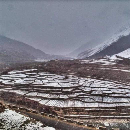 阿富汗，饿肚子问题到了紧要关头｜地球知识局