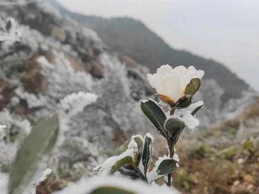 江西上饶：白雪皑皑，童话世界，灵山瑞雪迎新年（图）