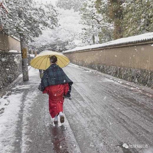 日本艺伎，是妓女么？｜地球知识局